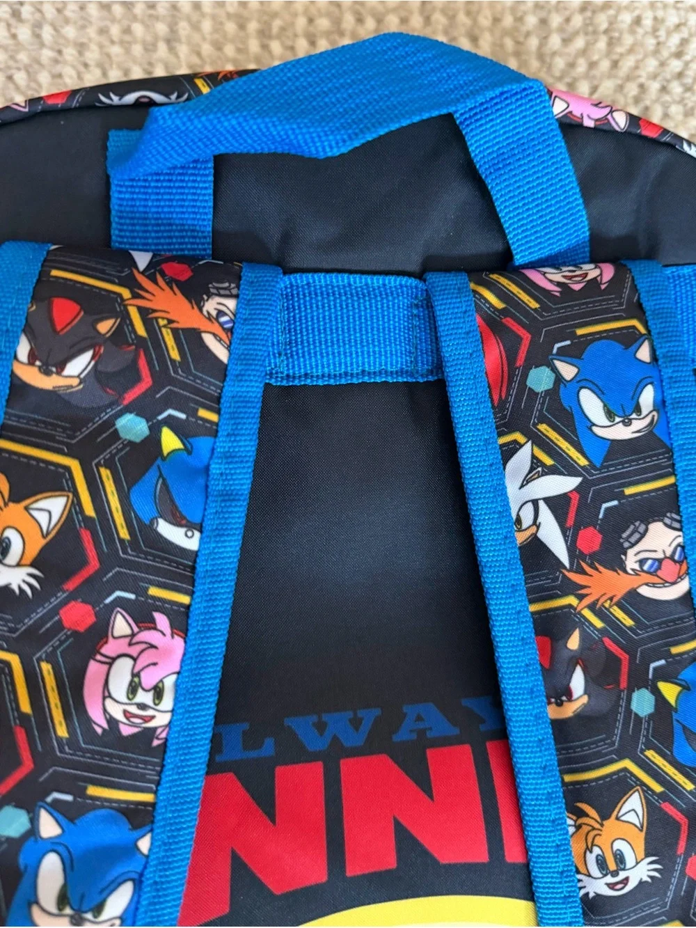 Sonic the Hedgehog 17